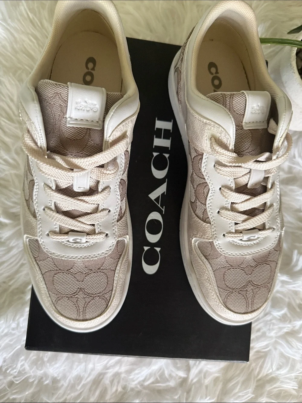Coach Kids Logo-Print Sneakers in Beige and Cream